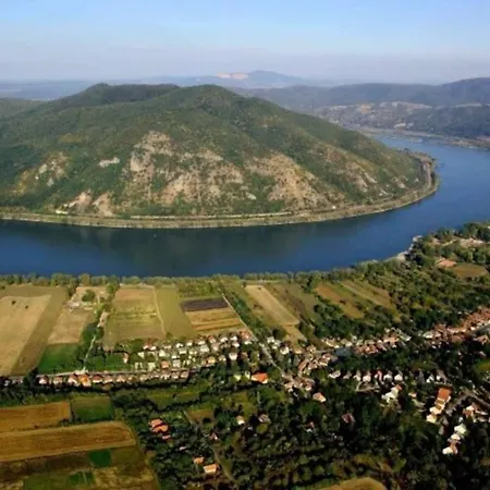 Hortenzia *