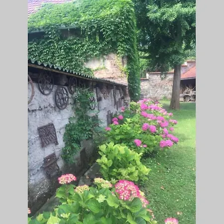 Hortenzia * Domos