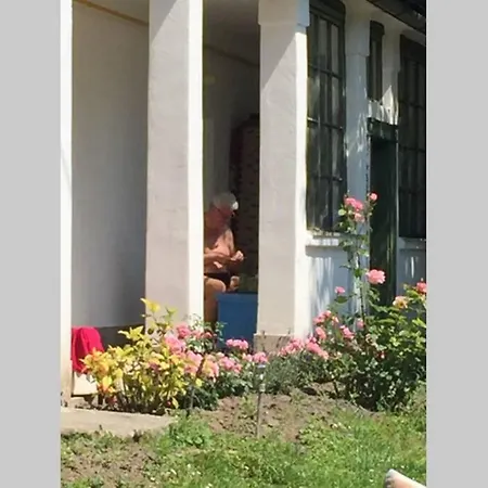 Holiday home Hortenzia *