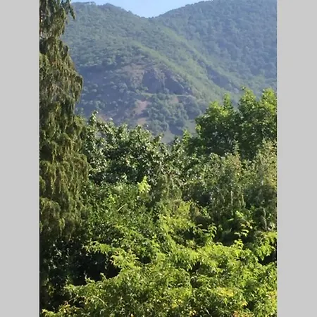 Holiday home Hortenzia Domos
